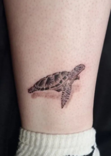 turtle tattoo